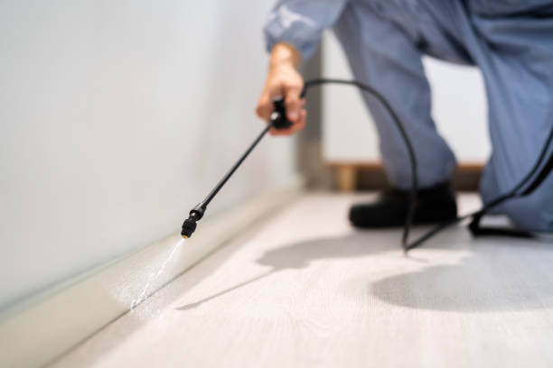 Licensed Cockroach Control service in Hackensack, NJ - Nex Pest Control