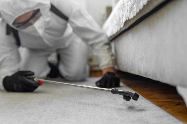 Professional Cockroach Control technician working in Hackensack, NJ