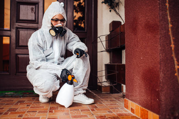 Reliable Cockroach Control contractor in Hackensack, NJ by Nex Pest Control